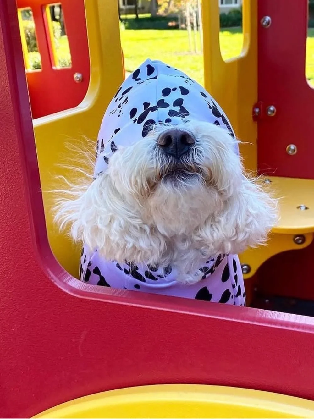 Cute Pet Dalmatian Costume Onesie - Black & White